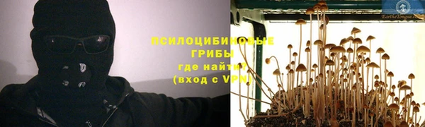 mdpv Дмитриев