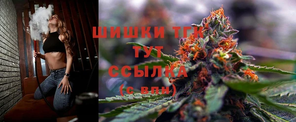 шишки Дмитров