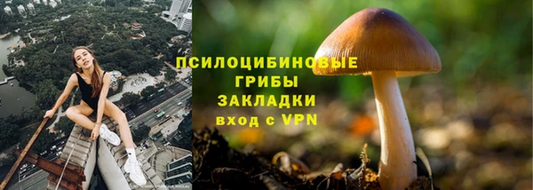 mdpv Дмитриев